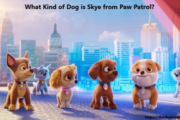 What Kind of Dog is Skye from Paw Patrol?