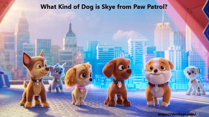 What Kind of Dog is Skye from Paw Patrol?